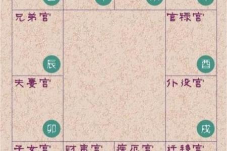 紫薇斗数亥宫