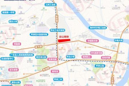 桂城平洲三山泰山路算命