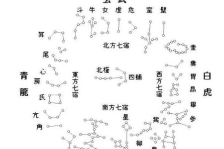 紫薇命盘疾厄宫廉贞天相