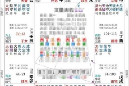 紫薇夫妻宫详解