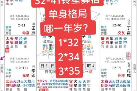 为什么四柱和紫薇斗数不一样