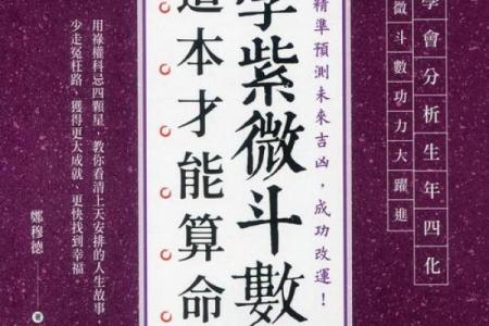 紫薇斗数封锆