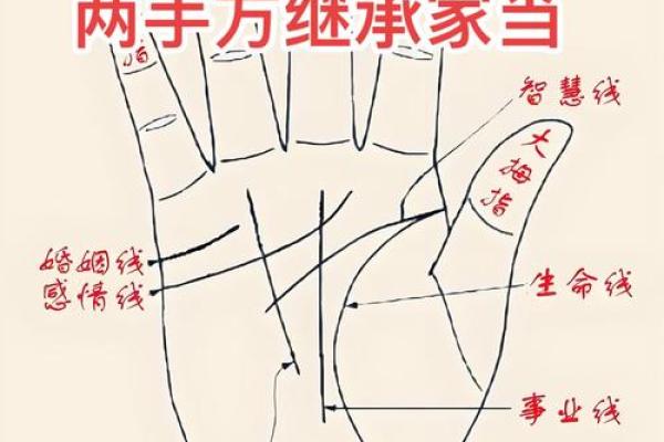 掌纹算命图解 通过手相看智慧