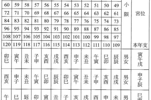紫薇斗数中小限