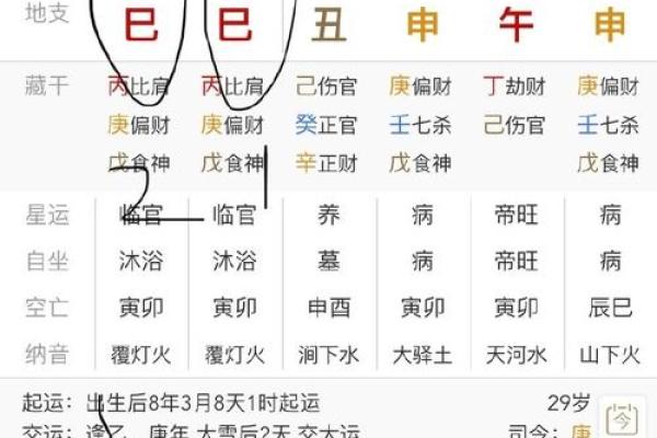 如何用八字算命