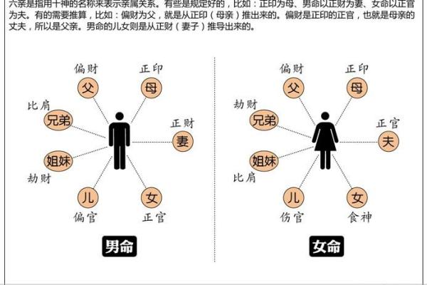 南京哪所大学会学算命