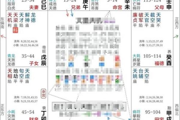 紫薇斗数看配偶格局