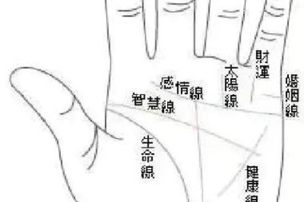 男士手相算命