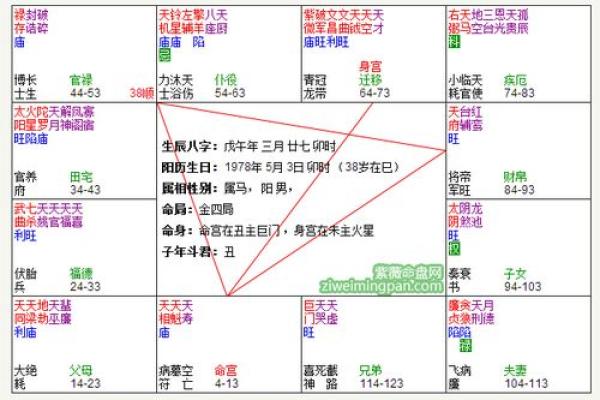 紫薇斗数身宫在哪