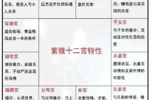紫薇斗数身宫在哪