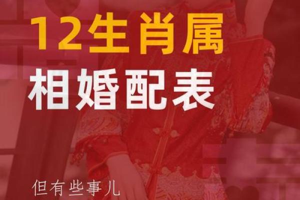 十二生肖算命婚姻配对准吗