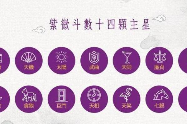 紫薇斗数星星含义