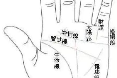 男士手相算命
