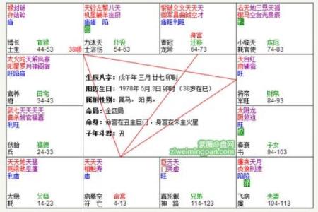 紫薇斗数身宫在哪