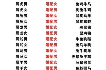 算命网姻缘婚配
