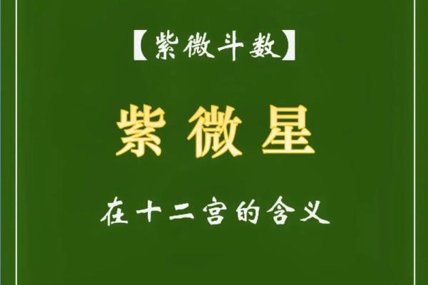 紫微斗数甲乙丙丁星应用 紫薇丁级星？