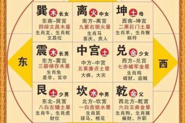 紫微斗数案例42健康：能活到90多岁的命盘