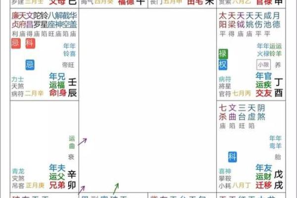 紫微斗数案例42健康：能活到90多岁的命盘