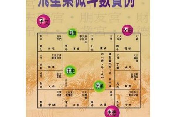 紫薇斗数实例详解视频