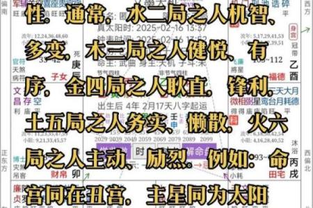 紫薇斗数与易经