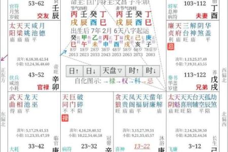 紫薇斗数官禄宫天府