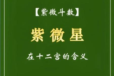 紫微斗数甲乙丙丁星应用 紫薇丁级星？
