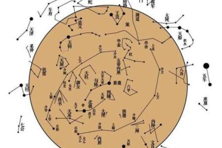 紫微斗数诸星落诸宫之：其它星（以下星曜为本宫主星时的情况，有