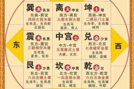 紫微斗数案例42健康：能活到90多岁的命盘