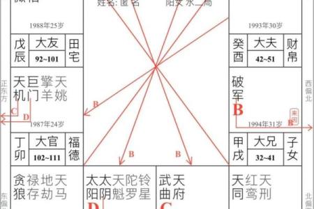 紫薇斗数实例详解视频