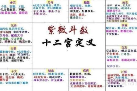 紫微斗数疾厄宫武曲化权