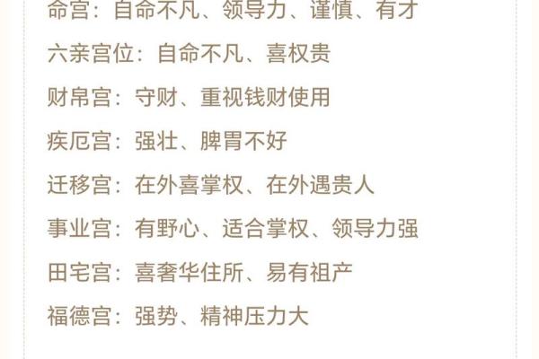 紫薇斗数安卓