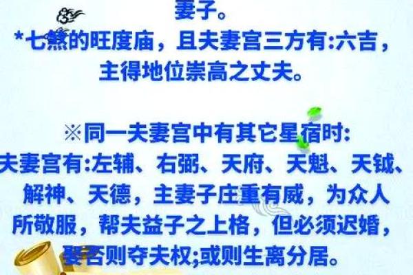 能嫁有钱老公的紫薇斗数女