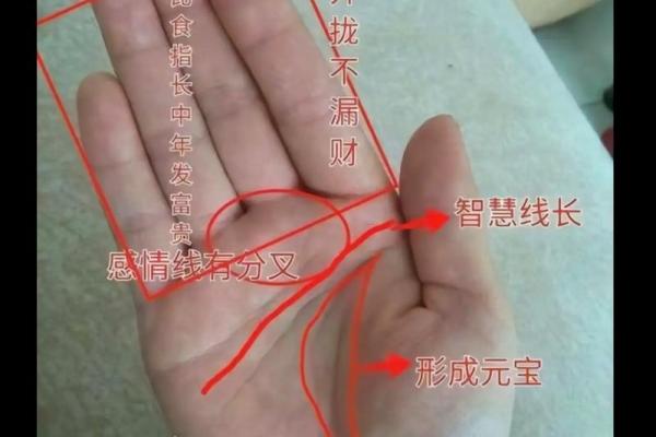 十指指纹算命看你命运吉凶，最全最具体最准
