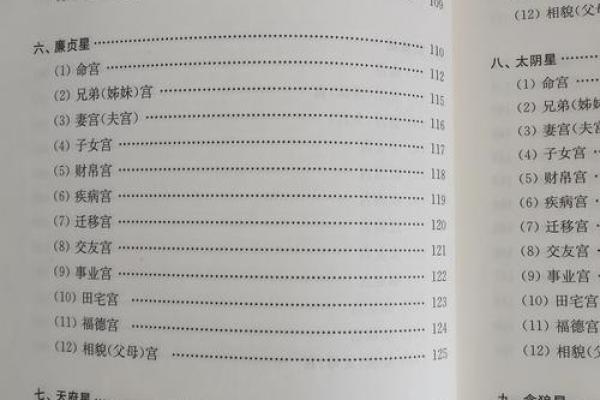 紫微斗数之各星曜所主行业:智商与考试 紫微斗数之各星曜所主行业:智商与考试