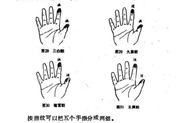 指纹算命,十个斗手指纹算命图解