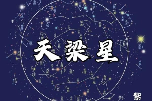 天虚紫薇斗数