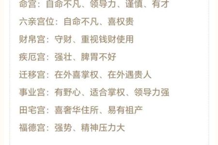 紫薇斗数安卓