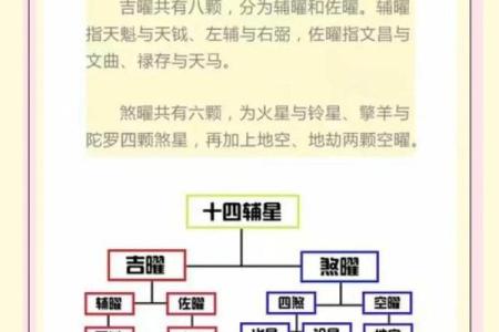 适合学紫薇斗数