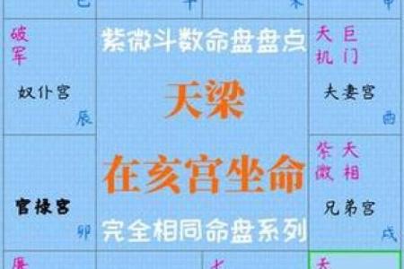 紫薇斗数先天命盘怎么看