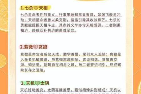 紫薇斗数讨论