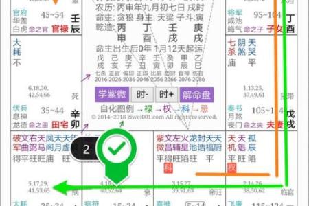 紫薇斗数从戍起子