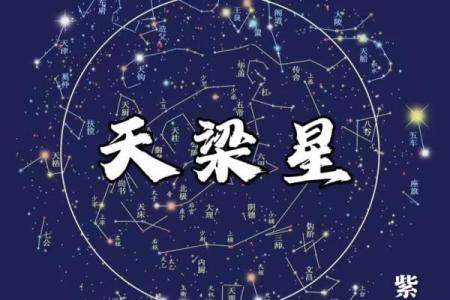 天虚紫薇斗数
