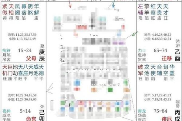 紫微斗数紫薇星排盘