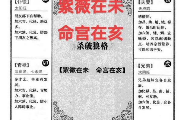 紫薇斗数命盘会照