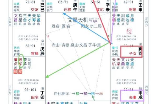 紫薇斗数命盘会照