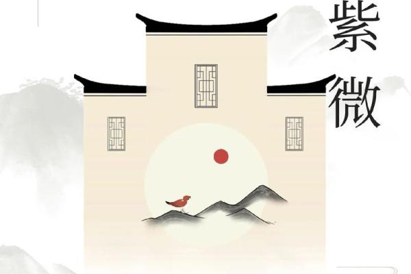 紫薇斗数应用