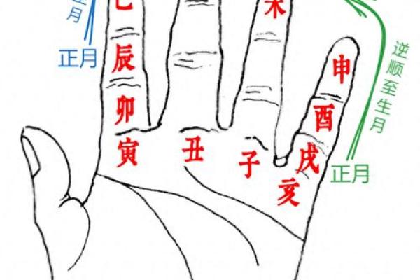 紫薇斗数冲破天罗地网