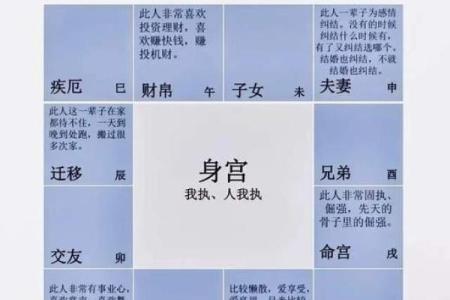 紫薇斗数看自身成就