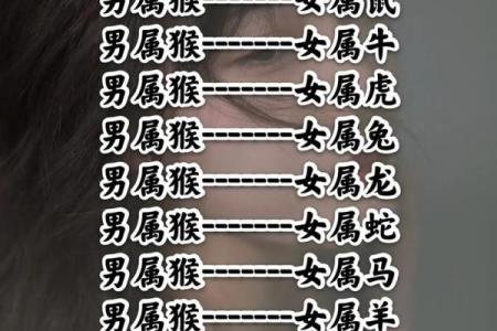 男猴女兔差7岁相配吗 真人在线算命婚姻