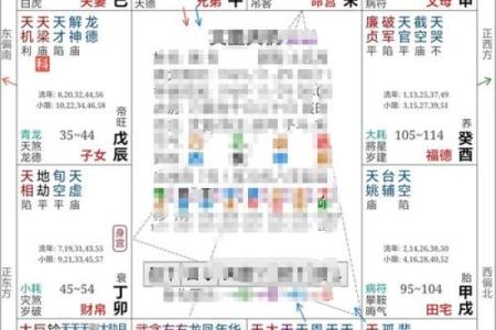 配偶本地外地紫薇斗数